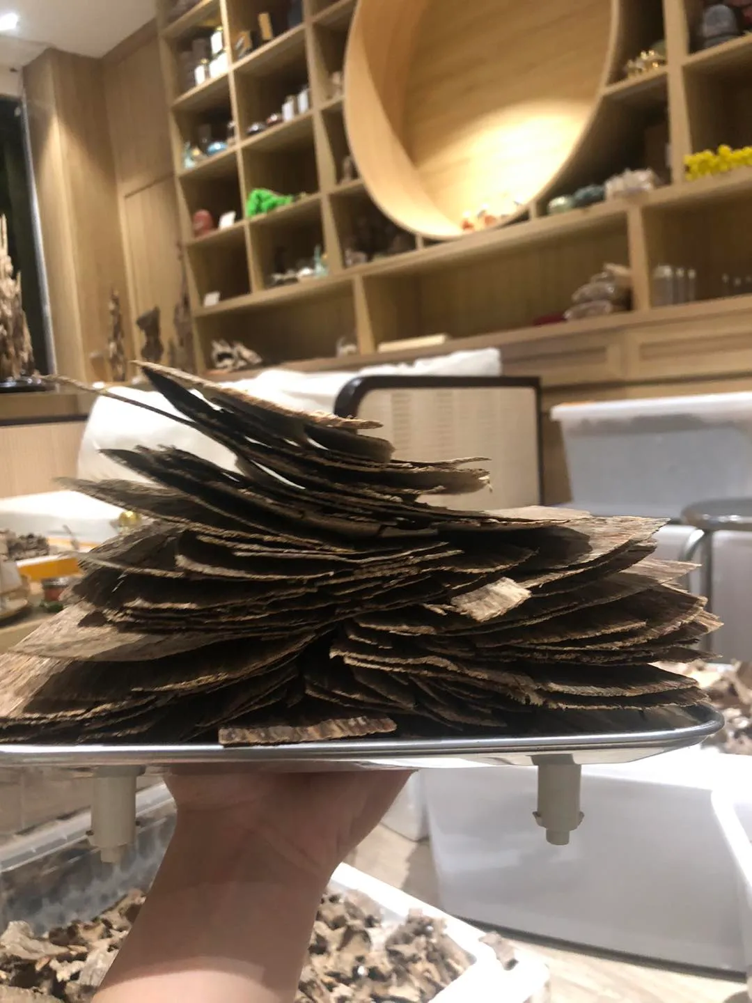 Vietnamese Agarwood Slabs – Premium “Sanh” with Single-Side Oil Layer